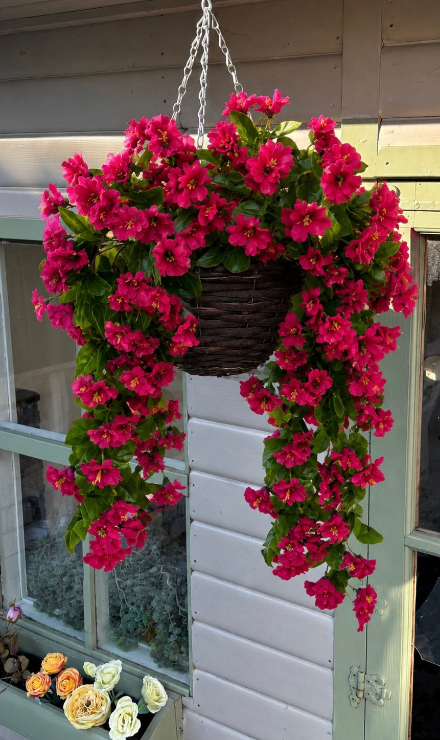 Fuchsia pink trailing hanging basket