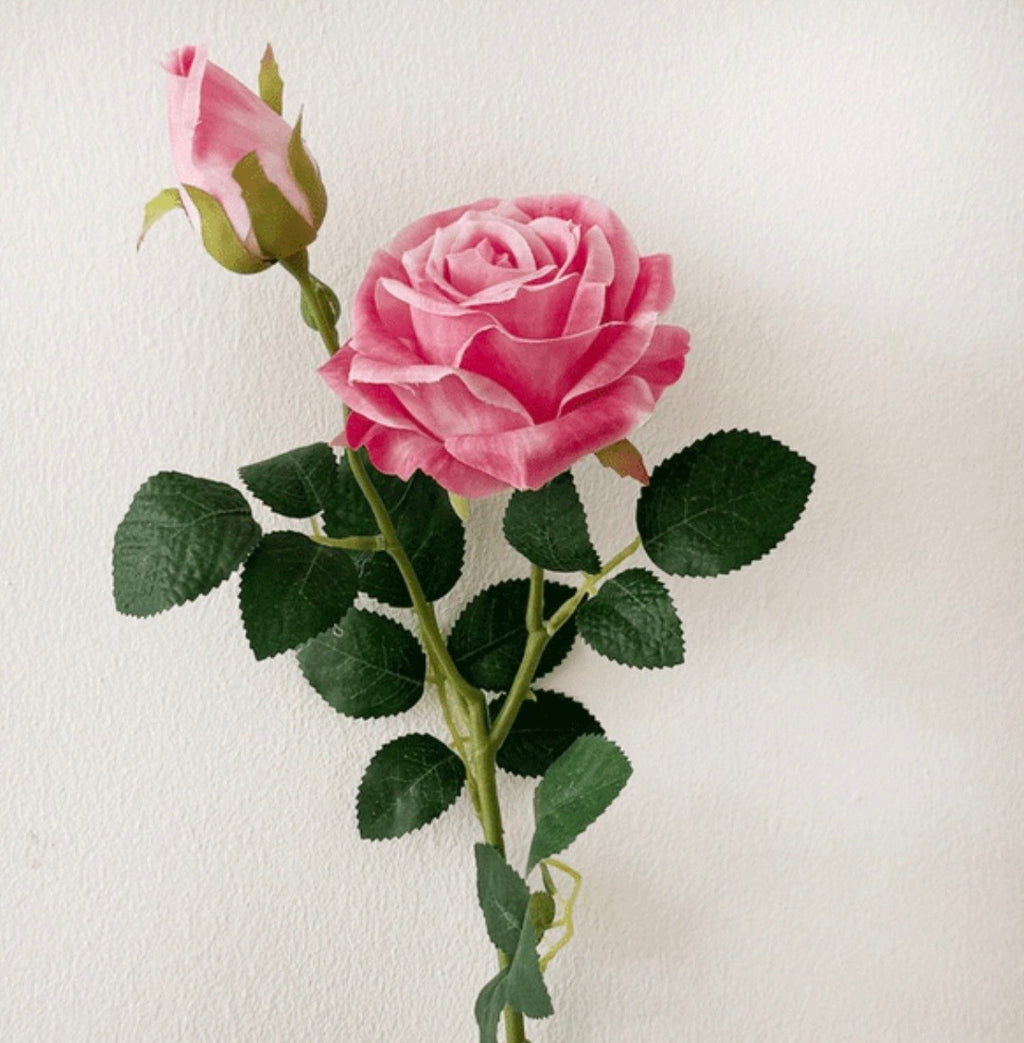 Pink Rose & Bud